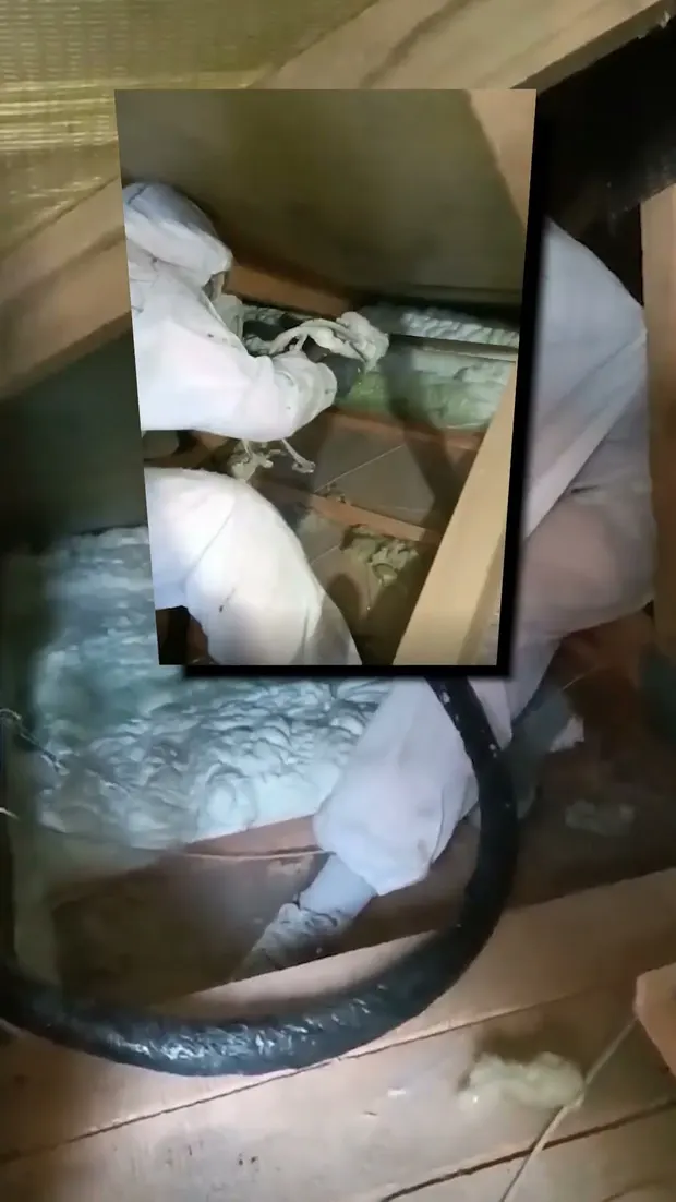 Födémszigetelések a saját kivitelezéseinkből. 🏠. Videó előnézete.