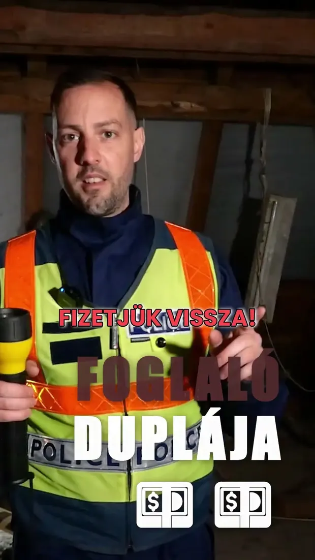 Házkutatást tartottunk a padláson és megtaláltuk a bűnöst! 🕵️♂️. Videó előnézete.