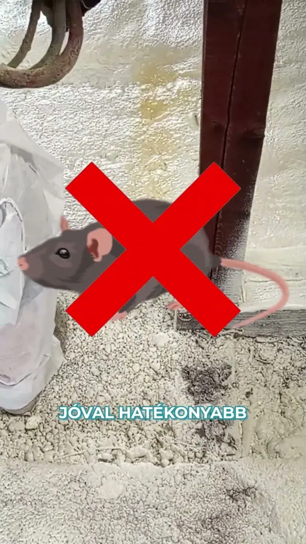 Amellett, hogy ügyfelünk rezsijét akár a felére csökkentjük, a kártevőket is távol tartjuk. 🐀🐝. Videó előnézete.