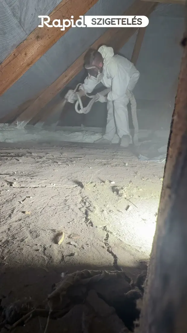 Barancson most lett meleg a tetőtérben is.. Videó előnézete.