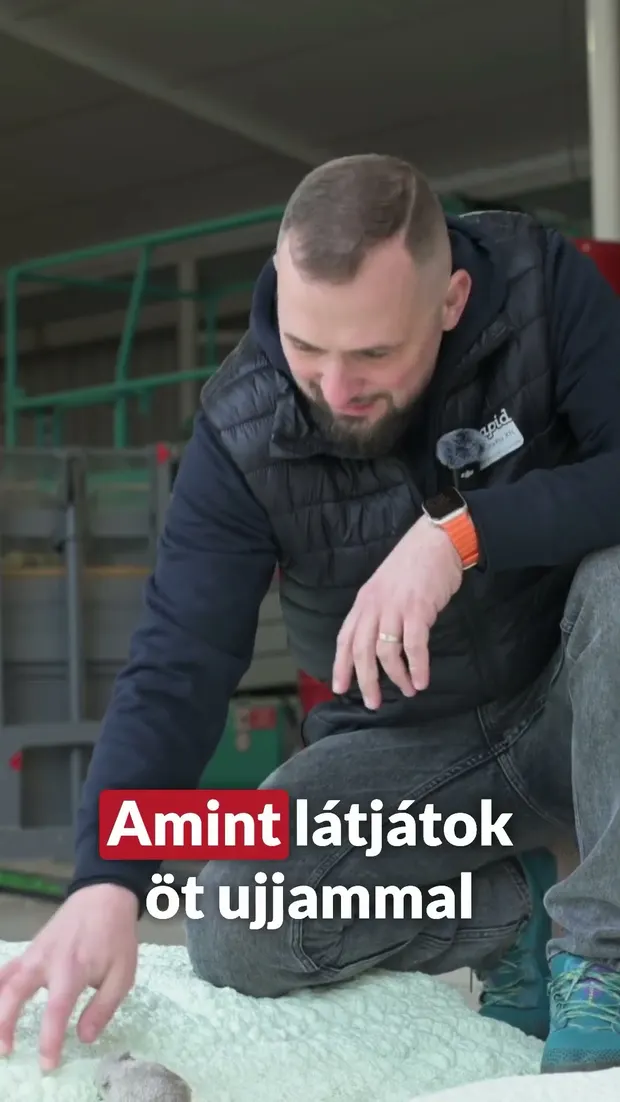 Ennyit az egér kérdésről! 💪🐭 #purhabszigetelés #rezsicsökkentés #hőszigetelés #rapidszigetelés. Videó előnézete.